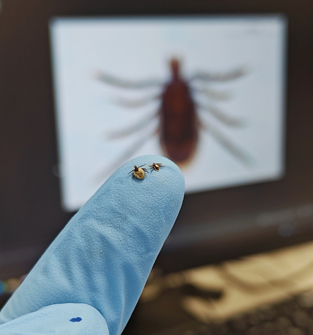 A project led by Professor Tommy Lam received funding under the National Natural Science Foundation of China and the Research Grants Council (NSFC/RGC) Collaborative Research Scheme.